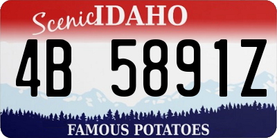 ID license plate 4B5891Z