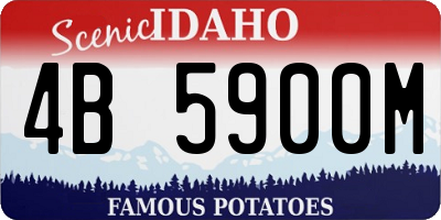 ID license plate 4B5900M