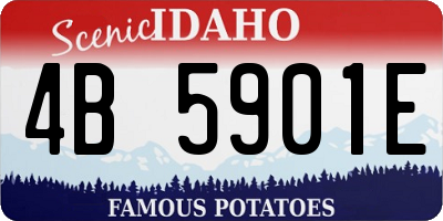 ID license plate 4B5901E
