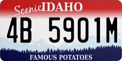 ID license plate 4B5901M