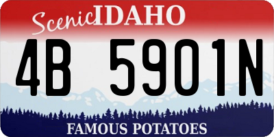 ID license plate 4B5901N