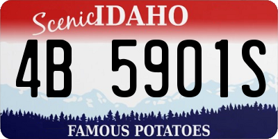 ID license plate 4B5901S