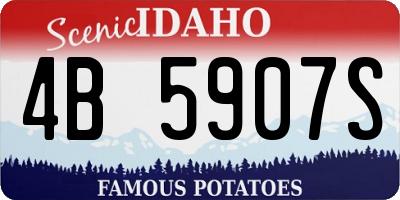 ID license plate 4B5907S