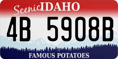 ID license plate 4B5908B