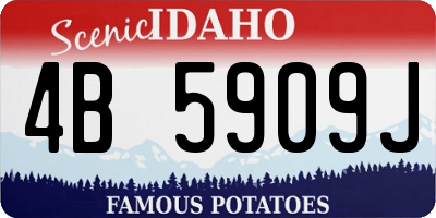ID license plate 4B5909J