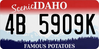 ID license plate 4B5909K