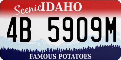 ID license plate 4B5909M