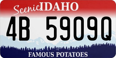 ID license plate 4B5909Q