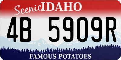 ID license plate 4B5909R