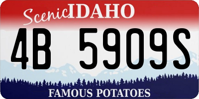 ID license plate 4B5909S