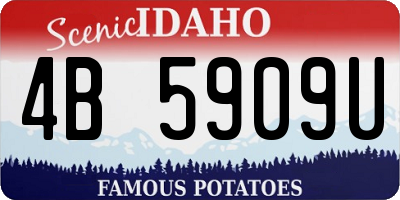 ID license plate 4B5909U