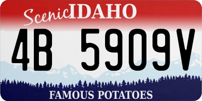 ID license plate 4B5909V