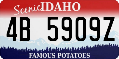 ID license plate 4B5909Z