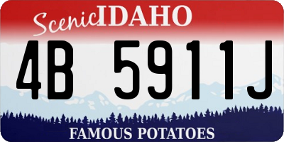 ID license plate 4B5911J