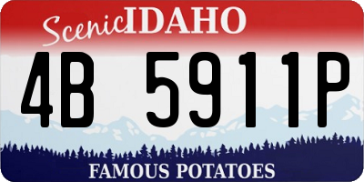 ID license plate 4B5911P
