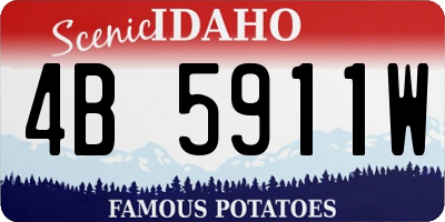 ID license plate 4B5911W