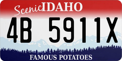 ID license plate 4B5911X