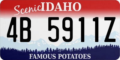 ID license plate 4B5911Z