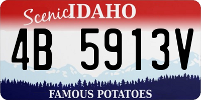 ID license plate 4B5913V