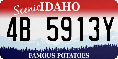 ID license plate 4B5913Y