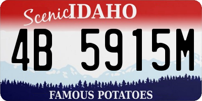 ID license plate 4B5915M