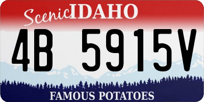 ID license plate 4B5915V