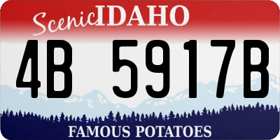 ID license plate 4B5917B