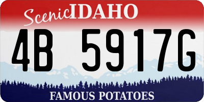 ID license plate 4B5917G