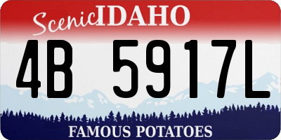 ID license plate 4B5917L