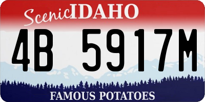 ID license plate 4B5917M