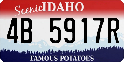 ID license plate 4B5917R