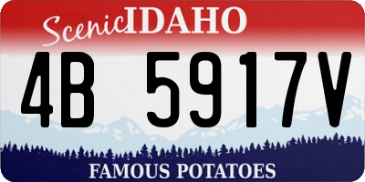 ID license plate 4B5917V