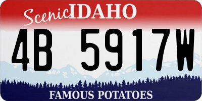 ID license plate 4B5917W