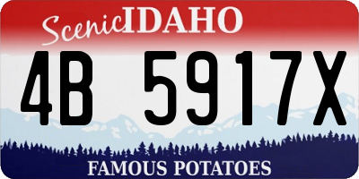 ID license plate 4B5917X