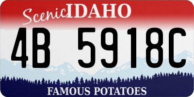 ID license plate 4B5918C