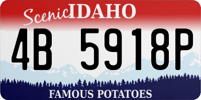 ID license plate 4B5918P