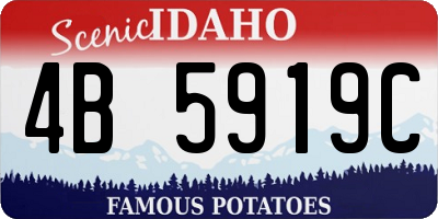 ID license plate 4B5919C