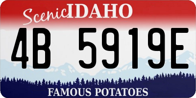 ID license plate 4B5919E