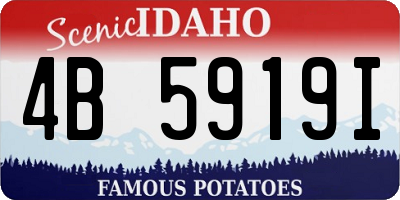 ID license plate 4B5919I