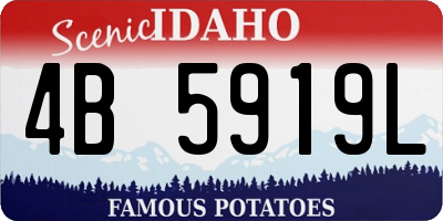 ID license plate 4B5919L