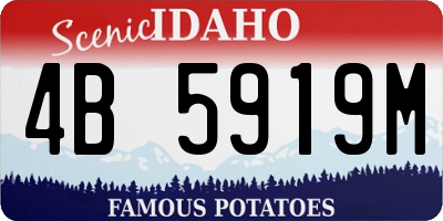 ID license plate 4B5919M
