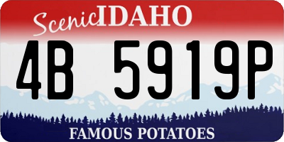 ID license plate 4B5919P