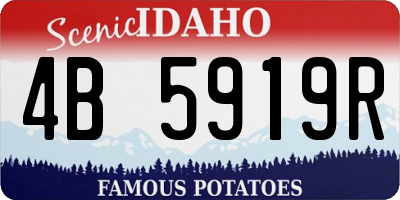 ID license plate 4B5919R