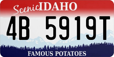 ID license plate 4B5919T