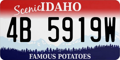 ID license plate 4B5919W