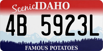 ID license plate 4B5923L
