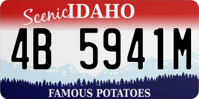 ID license plate 4B5941M
