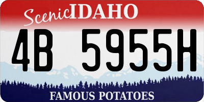 ID license plate 4B5955H
