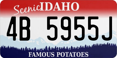 ID license plate 4B5955J