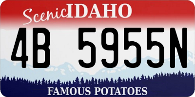 ID license plate 4B5955N